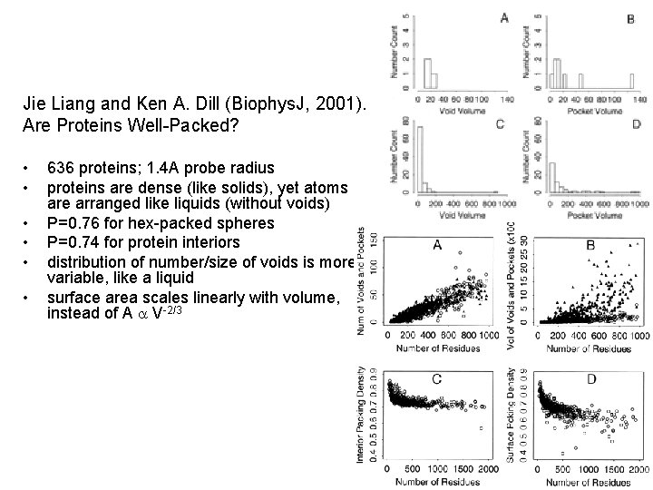 Jie Liang and Ken A. Dill (Biophys. J, 2001). Are Proteins Well-Packed? • •