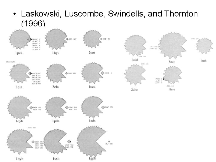  • Laskowski, Luscombe, Swindells, and Thornton (1996) 