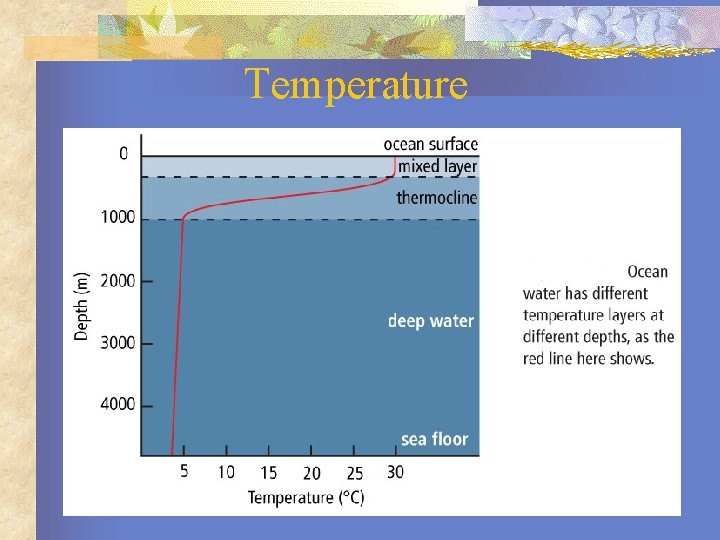 Temperature 