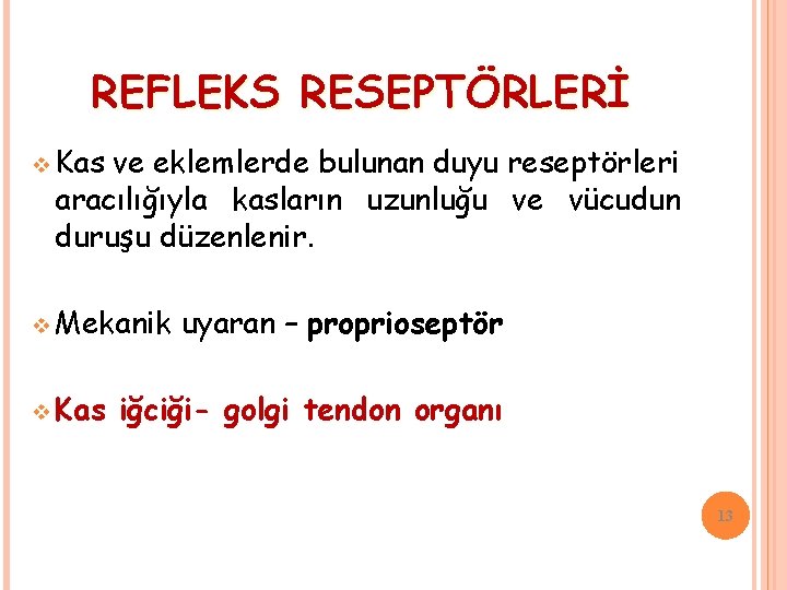 REFLEKS RESEPTÖRLERİ v Kas ve eklemlerde bulunan duyu reseptörleri aracılığıyla kasların uzunluğu ve vücudun