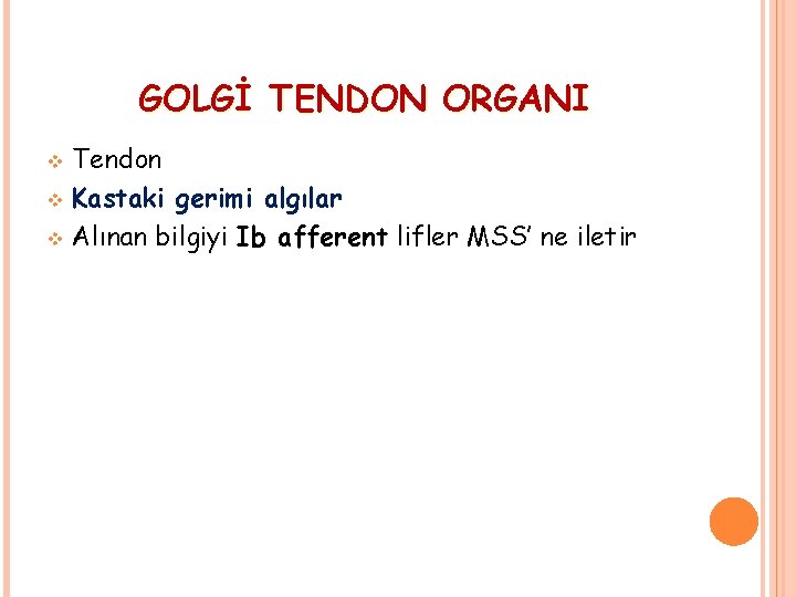 GOLGİ TENDON ORGANI Tendon v Kastaki gerimi algılar v Alınan bilgiyi Ib afferent lifler