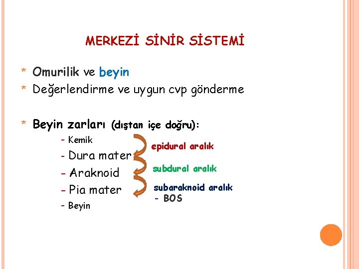 MERKEZİ SİNİR SİSTEMİ Omurilik ve beyin * Değerlendirme ve uygun cvp gönderme * *