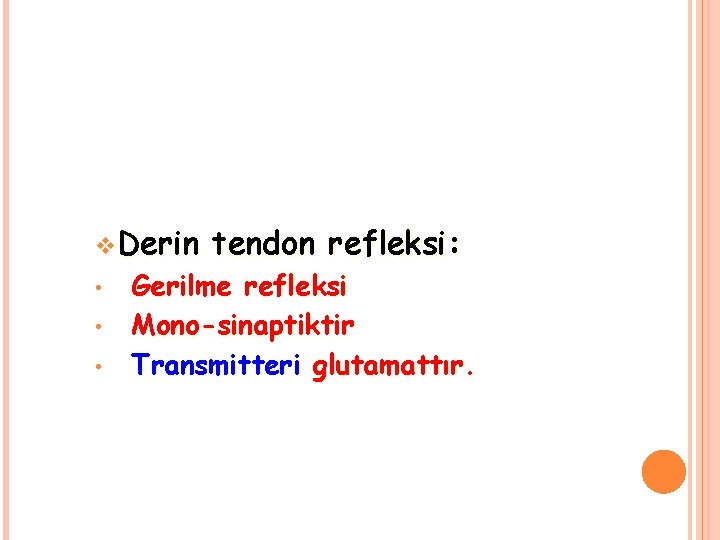 v Derin • • • tendon refleksi: Gerilme refleksi Mono-sinaptiktir Transmitteri glutamattır. 