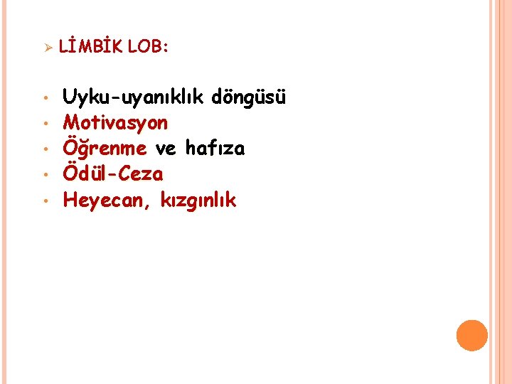 Ø • • • LİMBİK LOB: Uyku-uyanıklık döngüsü Motivasyon Öğrenme ve hafıza Ödül-Ceza Heyecan,