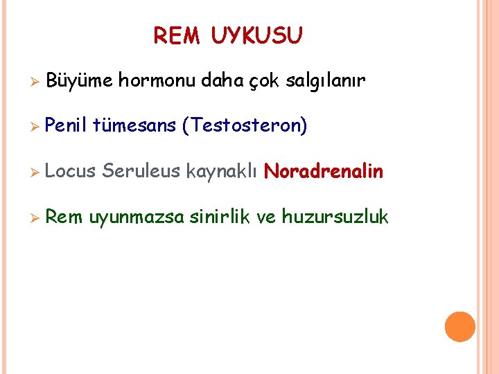 REM UYKUSU Ø Büyüme Ø Penil tümesans (Testosteron) Ø Locus Ø Rem hormonu daha