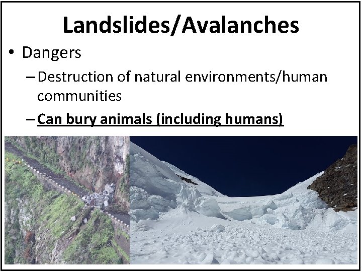 Landslides/Avalanches • Dangers – Destruction of natural environments/human communities – Can bury animals (including