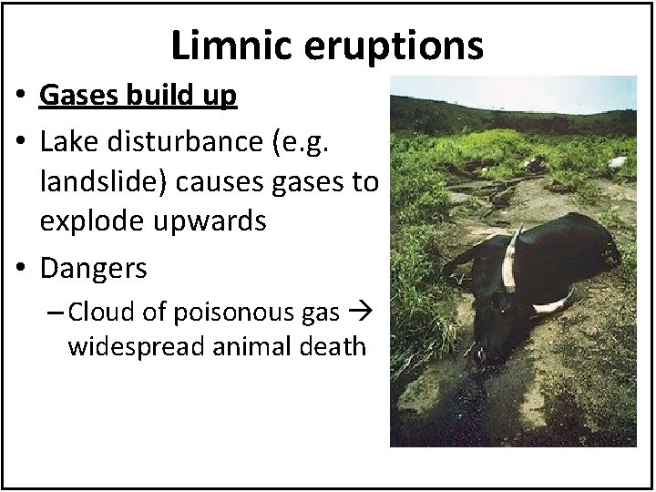 Limnic eruptions • Gases build up • Lake disturbance (e. g. landslide) causes gases