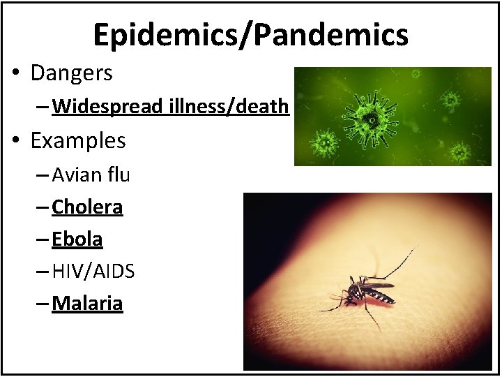 Epidemics/Pandemics • Dangers – Widespread illness/death • Examples – Avian flu – Cholera –