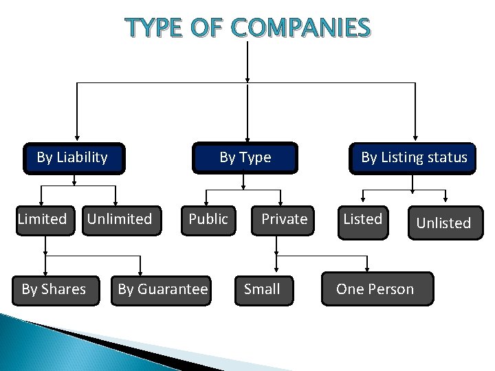 TYPE OF COMPANIES By Liability Limited By Shares By Type Unlimited Public By Guarantee