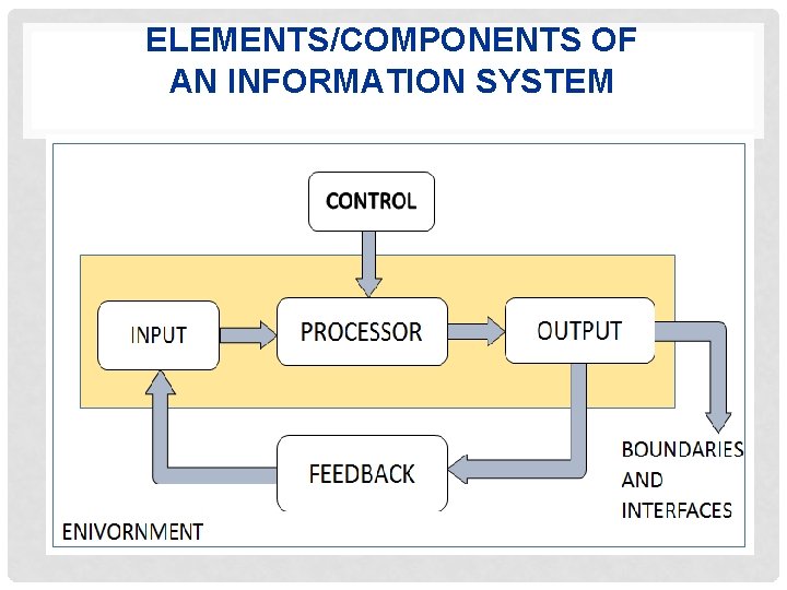 ELEMENTS/COMPONENTS OF AN INFORMATION SYSTEM 