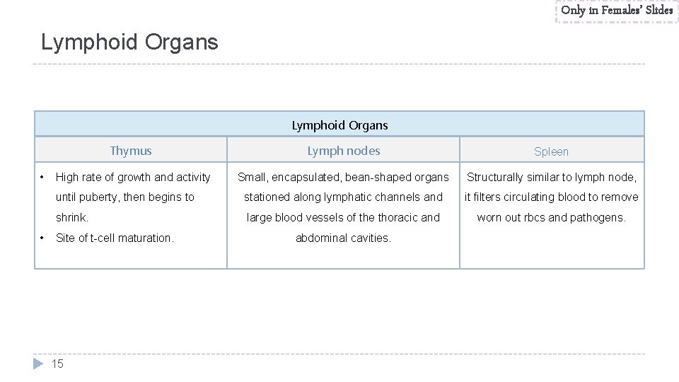 Only in Females’ Slides Lymphoid Organs • • Thymus Lymph nodes Spleen High rate