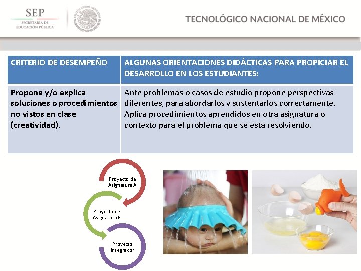 CRITERIO DE DESEMPEÑO ALGUNAS ORIENTACIONES DIDÁCTICAS PARA PROPICIAR EL DESARROLLO EN LOS ESTUDIANTES: Propone