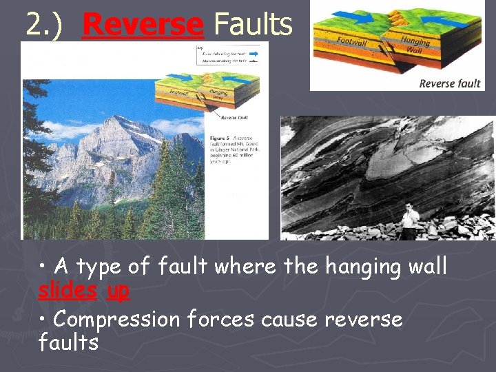 2. ) Reverse Faults • A type of fault where the hanging wall slides