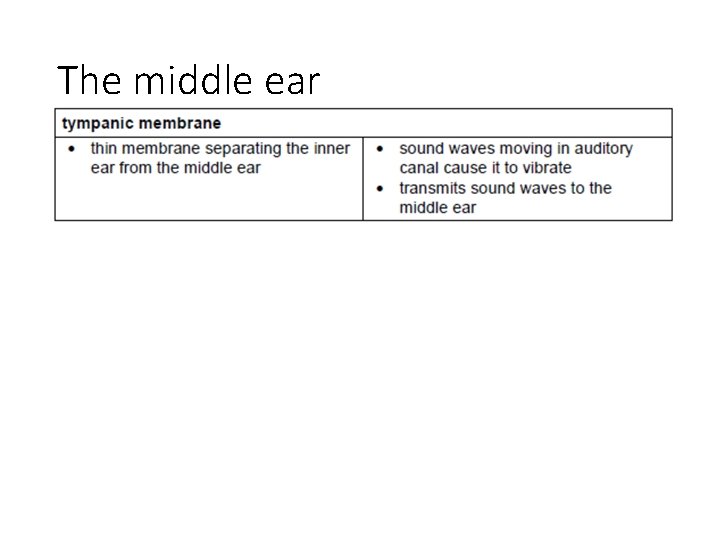 The middle ear 