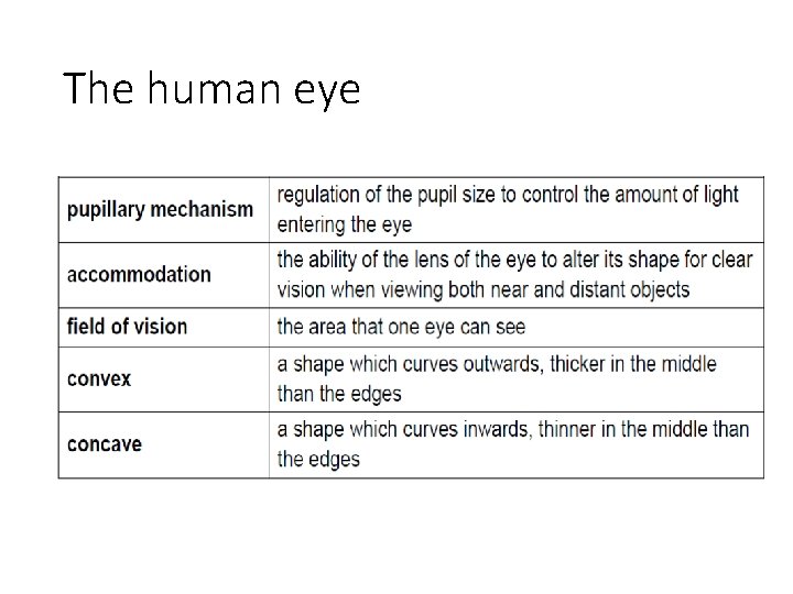 The human eye 