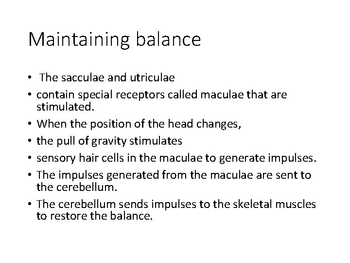 Maintaining balance • The sacculae and utriculae • contain special receptors called maculae that