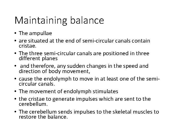 Maintaining balance • The ampullae • are situated at the end of semi-circular canals