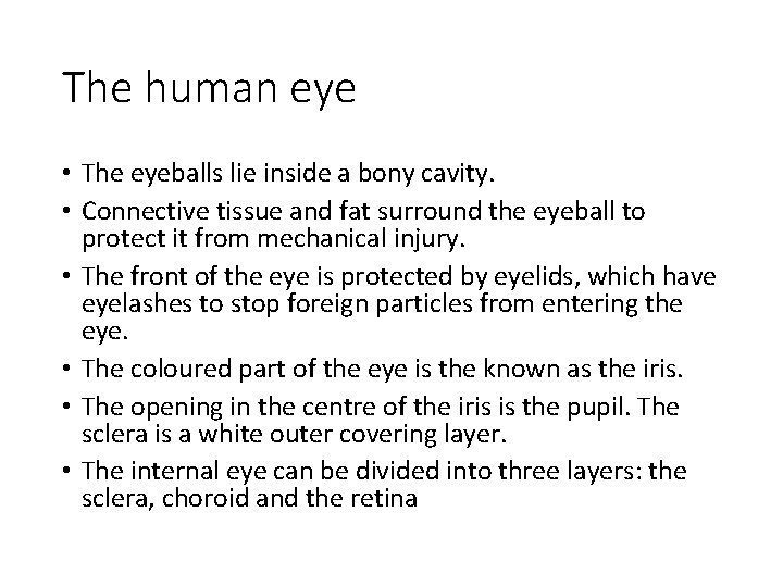 The human eye • The eyeballs lie inside a bony cavity. • Connective tissue