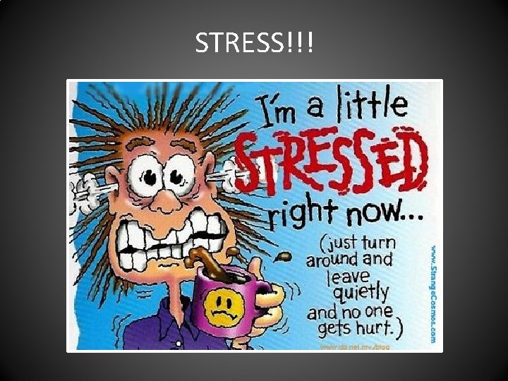 STRESS!!! 