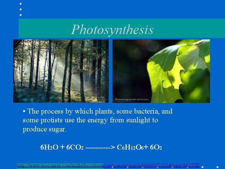 Photosynthesis • The process by which plants, some bacteria, and some protists use the