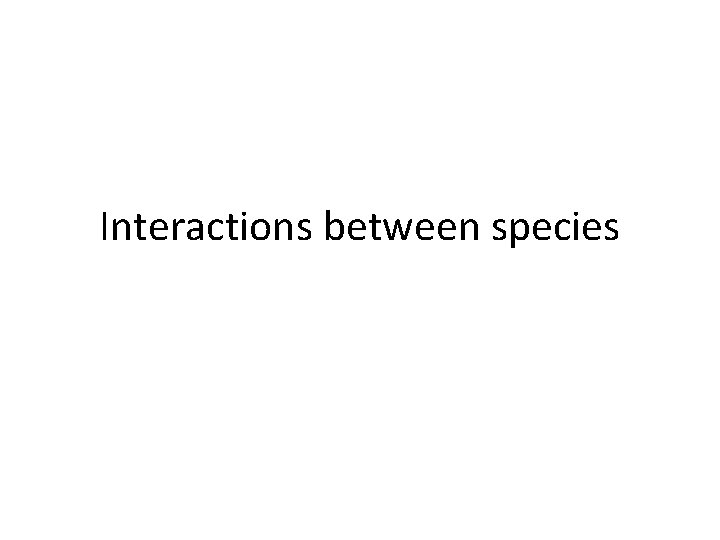 Interactions between species 