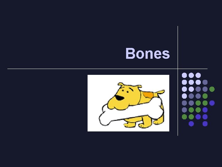 Bones 
