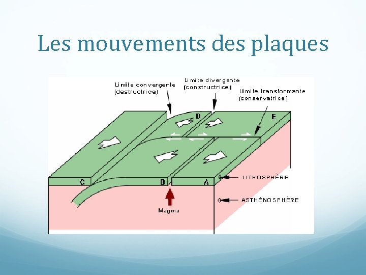 Les mouvements des plaques 