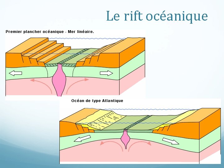 Le rift océanique 