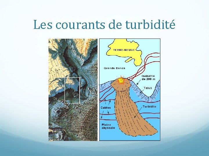 Les courants de turbidité 