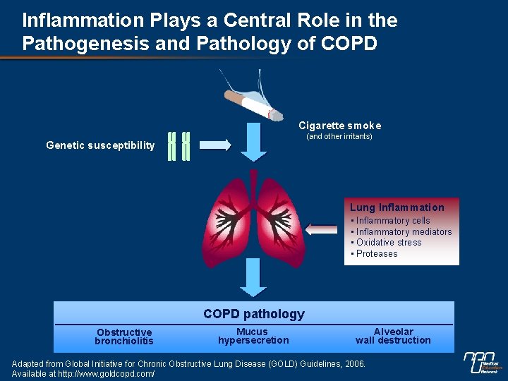 Inflammation Plays a Central Role in the Pathogenesis and Pathology of COPD Cigarette smoke