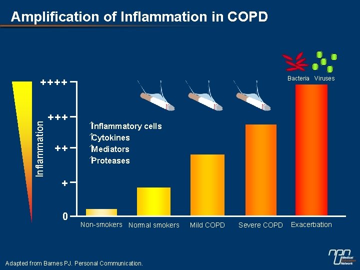 Amplification of Inflammation in COPD Bacteria Viruses Inflammation ++++ ++ Inflammatory cells Cytokines Mediators