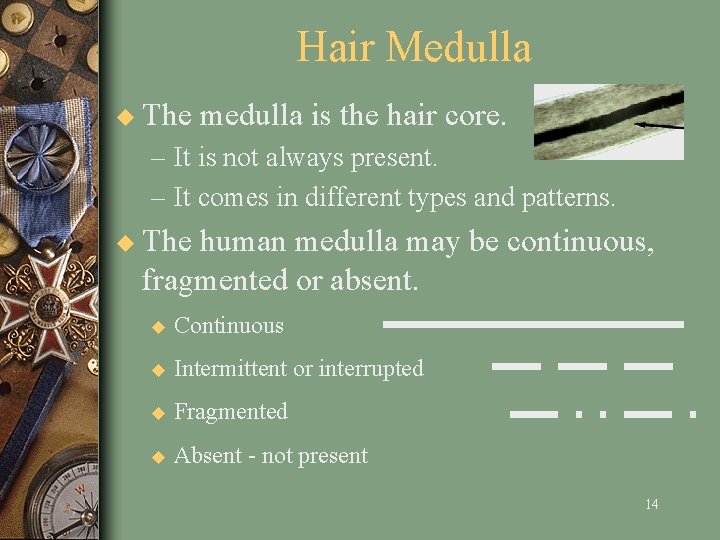 Hair Medulla u The medulla is the hair core. – It is not always