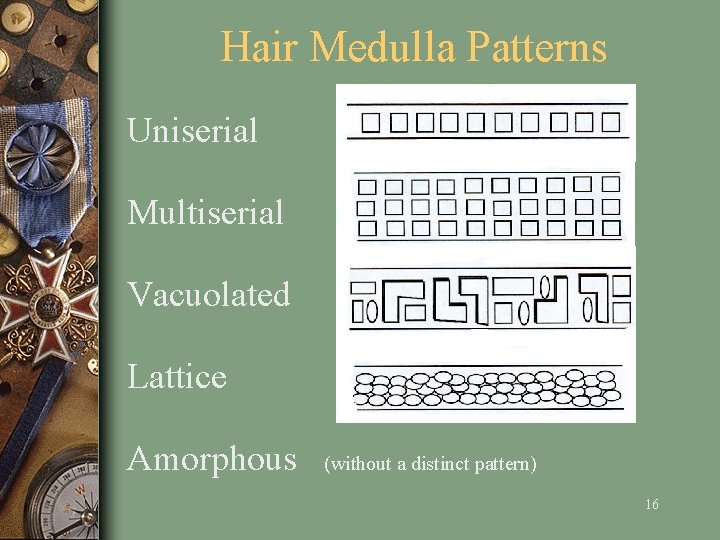 Hair Medulla Patterns Uniserial Multiserial Vacuolated Lattice Amorphous (without a distinct pattern) 16 