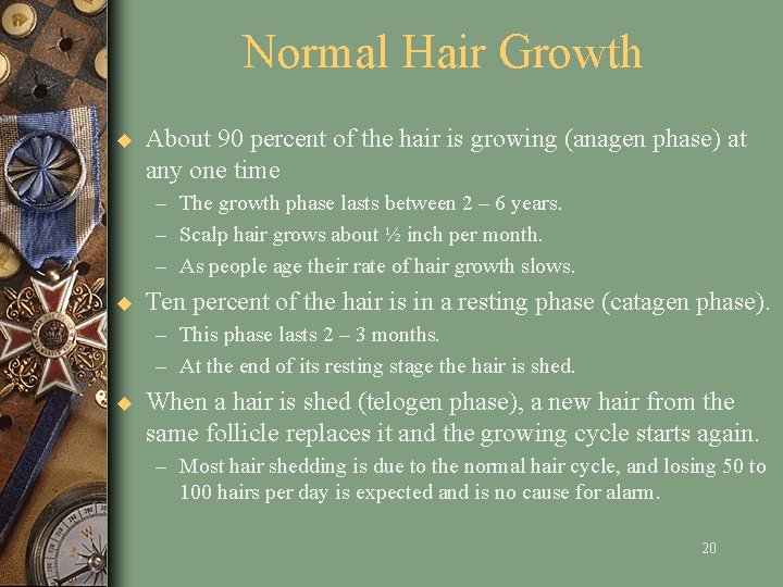 Normal Hair Growth u About 90 percent of the hair is growing (anagen phase)