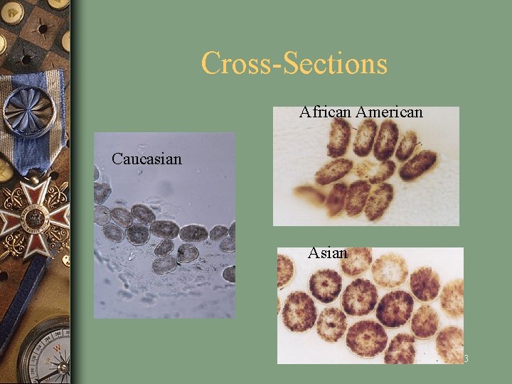Cross-Sections African American Caucasian Asian 23 