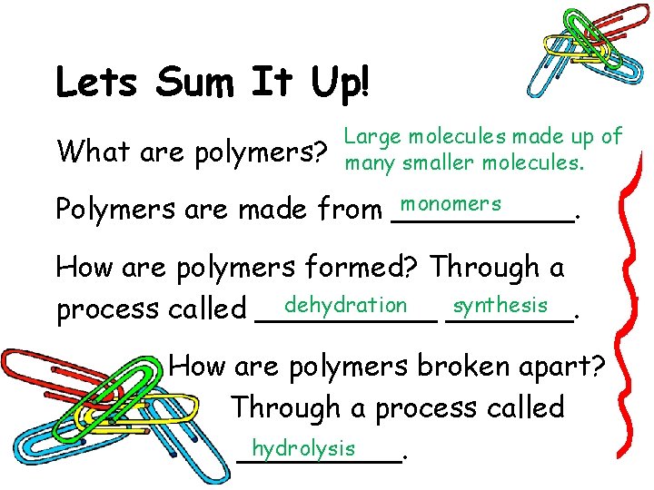 Lets Sum It Up! What are polymers? Large molecules made up of many smaller Lets Sum It Up! What are polymers? Large molecules made up of many smaller