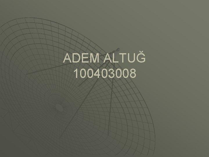 ADEM ALTUĞ 100403008 