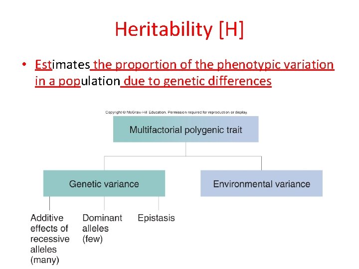 Heritability [H] • Estimates the proportion of the phenotypic variation in a population due