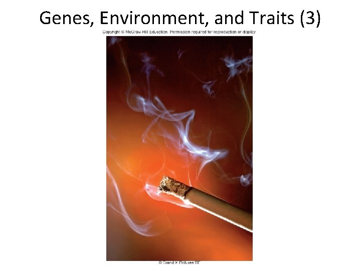 Genes, Environment, and Traits (3) 