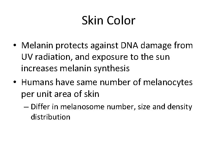 Skin Color • Melanin protects against DNA damage from UV radiation, and exposure to