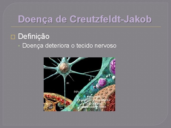 Doença de Creutzfeldt-Jakob � Definição • Doença deteriora o tecido nervoso 