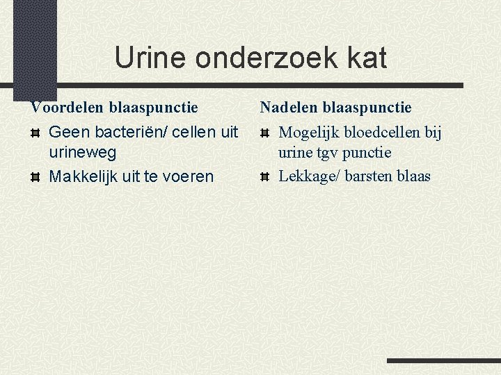 Urine onderzoek kat Voordelen blaaspunctie Geen bacteriën/ cellen uit urineweg Makkelijk uit te voeren