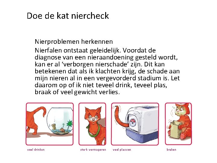 Doe de kat niercheck Nierproblemen herkennen Nierfalen ontstaat geleidelijk. Voordat de diagnose van een