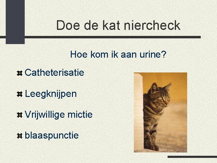 Doe de kat niercheck Hoe kom ik aan urine? Catheterisatie Leegknijpen Vrijwillige mictie blaaspunctie