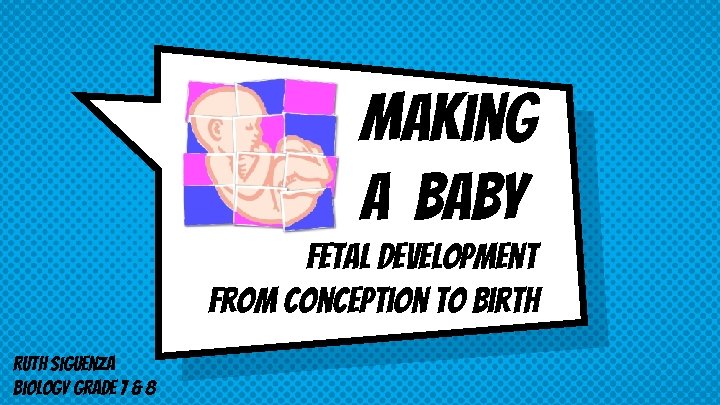 Making A Baby Fetal Development from Conception to Birth Ruth Siguenza Biology Grade 7