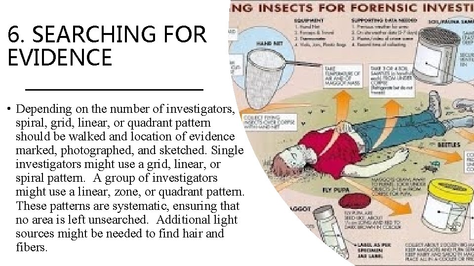 6. SEARCHING FOR EVIDENCE • Depending on the number of investigators, a spiral, grid,