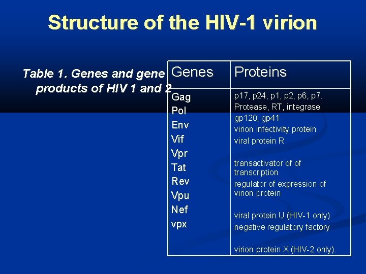 Structure of the HIV-1 virion Table 1. Genes and gene Genes products of HIV