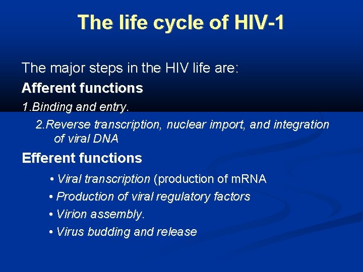 The life cycle of HIV-1 The major steps in the HIV life are: Afferent