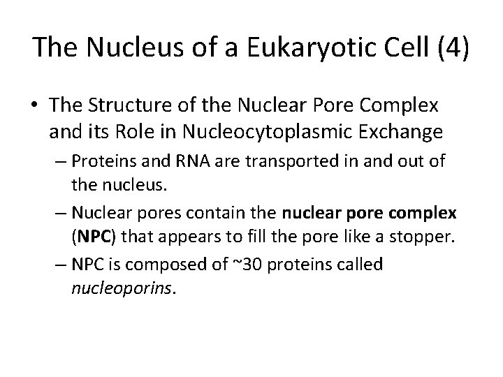 The Nucleus of a Eukaryotic Cell (4) • The Structure of the Nuclear Pore