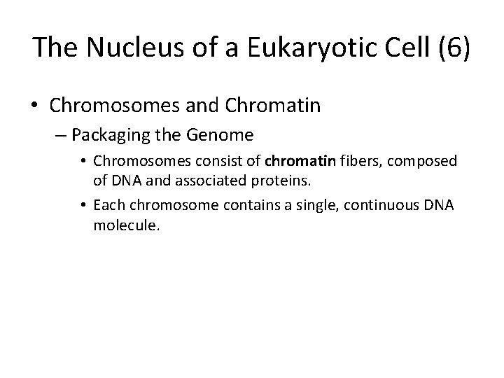 The Nucleus of a Eukaryotic Cell (6) • Chromosomes and Chromatin – Packaging the